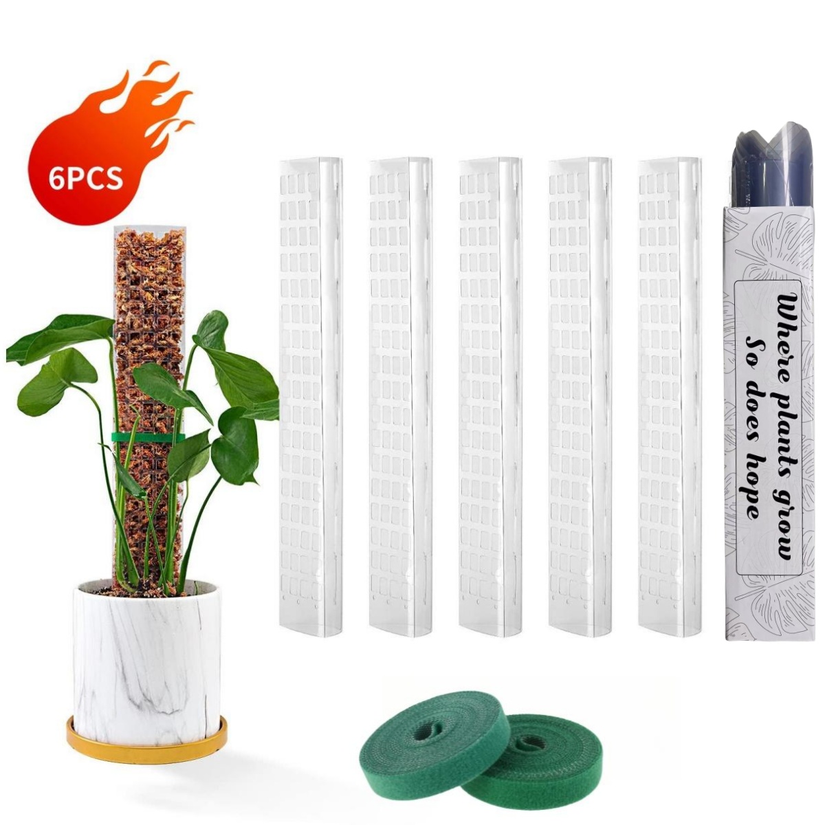 Indoor Herb Garden - Postes de musgo, soporte para plantas,