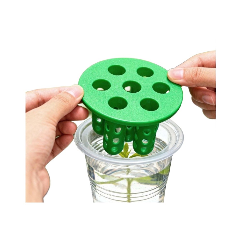 Hydroponic Kit - Kits de germinación de cebolla verde