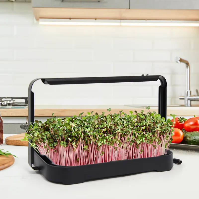 Hydroponic Kit - Bandeja Hidropónica para Interiores, Sistema de