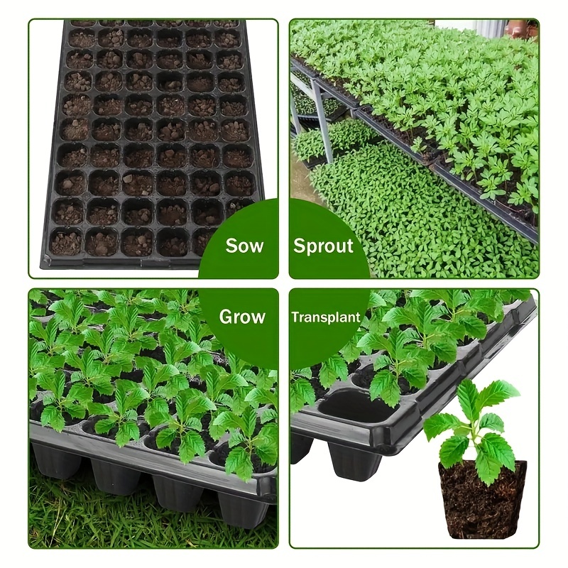 10, bandeja para vivero, bande - Seed Starter Tray reseña y precio