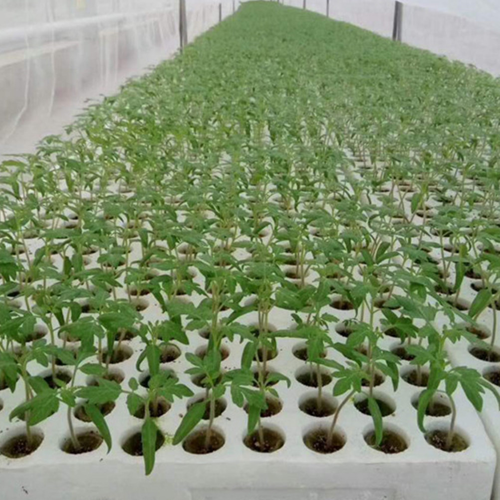 40 Cubos de Lana para Cultivo  - Hydroponic Kit reseña y precio