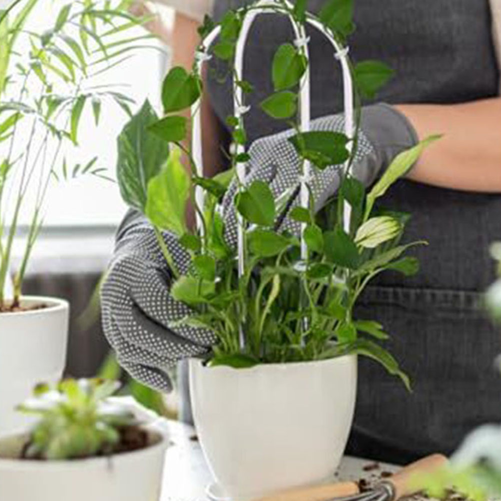 Estante acrílico para plantas  - Indoor Herb Garden reseña y precio