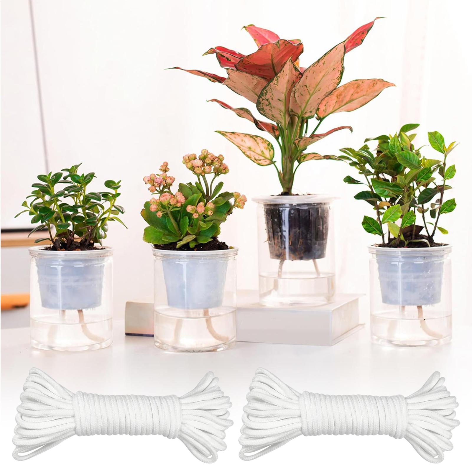 Cuerdas de riego automático pa - Self Watering Planter reseña y precio