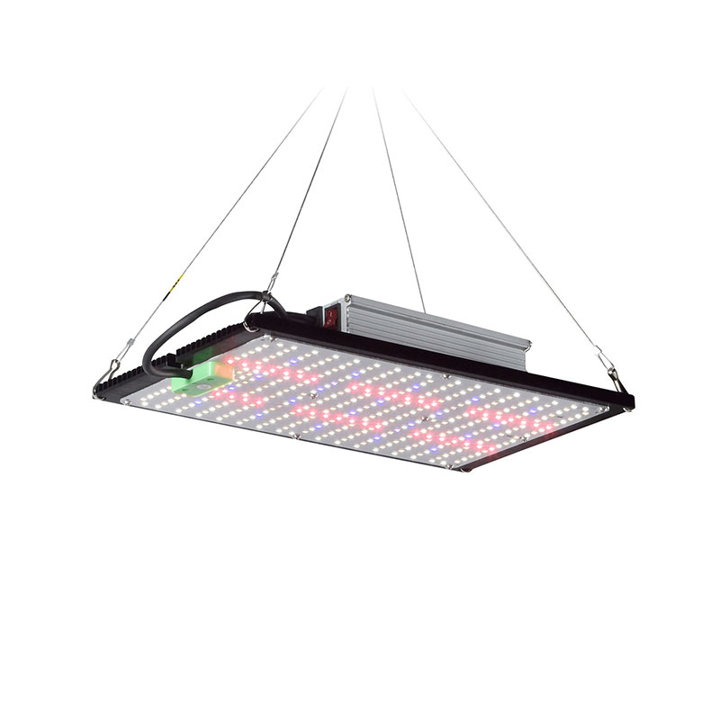 Lámpara de Cultivo LED Quantum - Grow Light Led reseña y precio