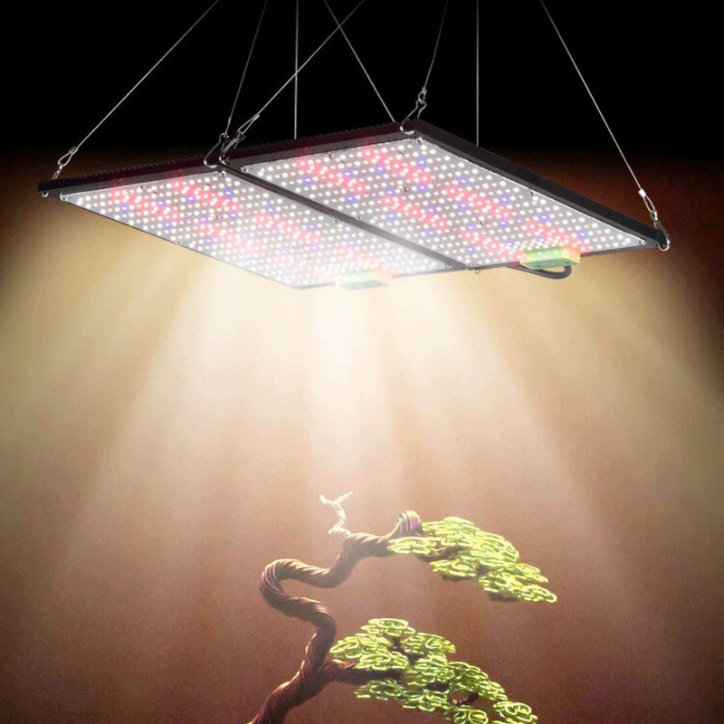 Lámpara de Cultivo LED Quantum - Grow Light Led reseña y precio