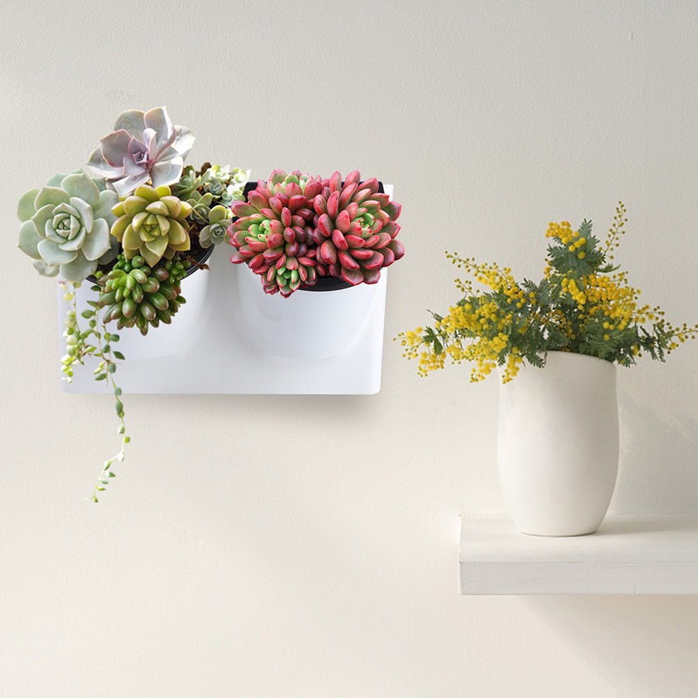 Maceta de Plástico con Autorri - Self Watering Planter reseña y precio