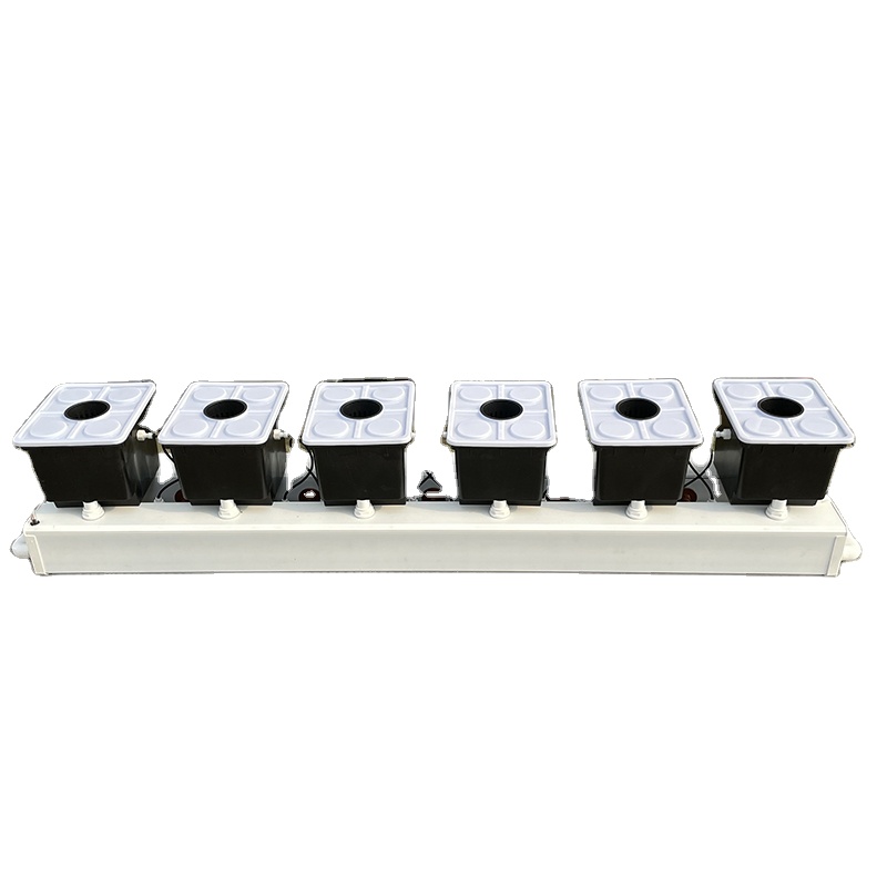 Sistema Hidropónico Dutch Buck - Hydroponic Kit reseña y precio