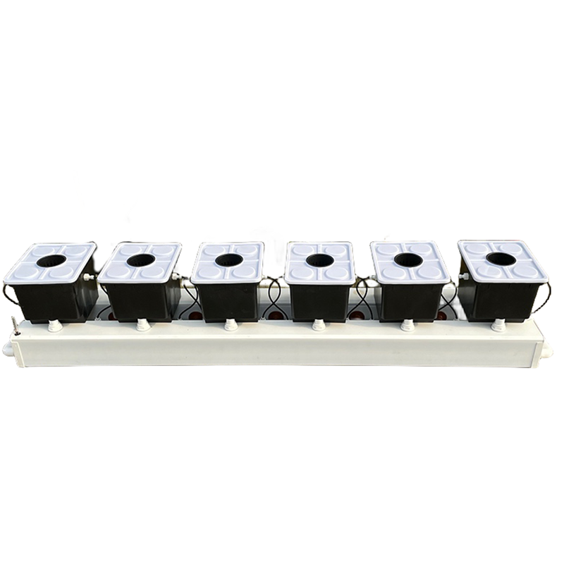 Sistema Hidropónico Dutch Buck - Hydroponic Kit reseña y precio