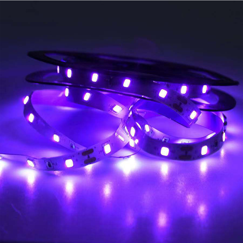 Luz ultravioleta LED UV, lámpa - Grow Light Led reseña y precio