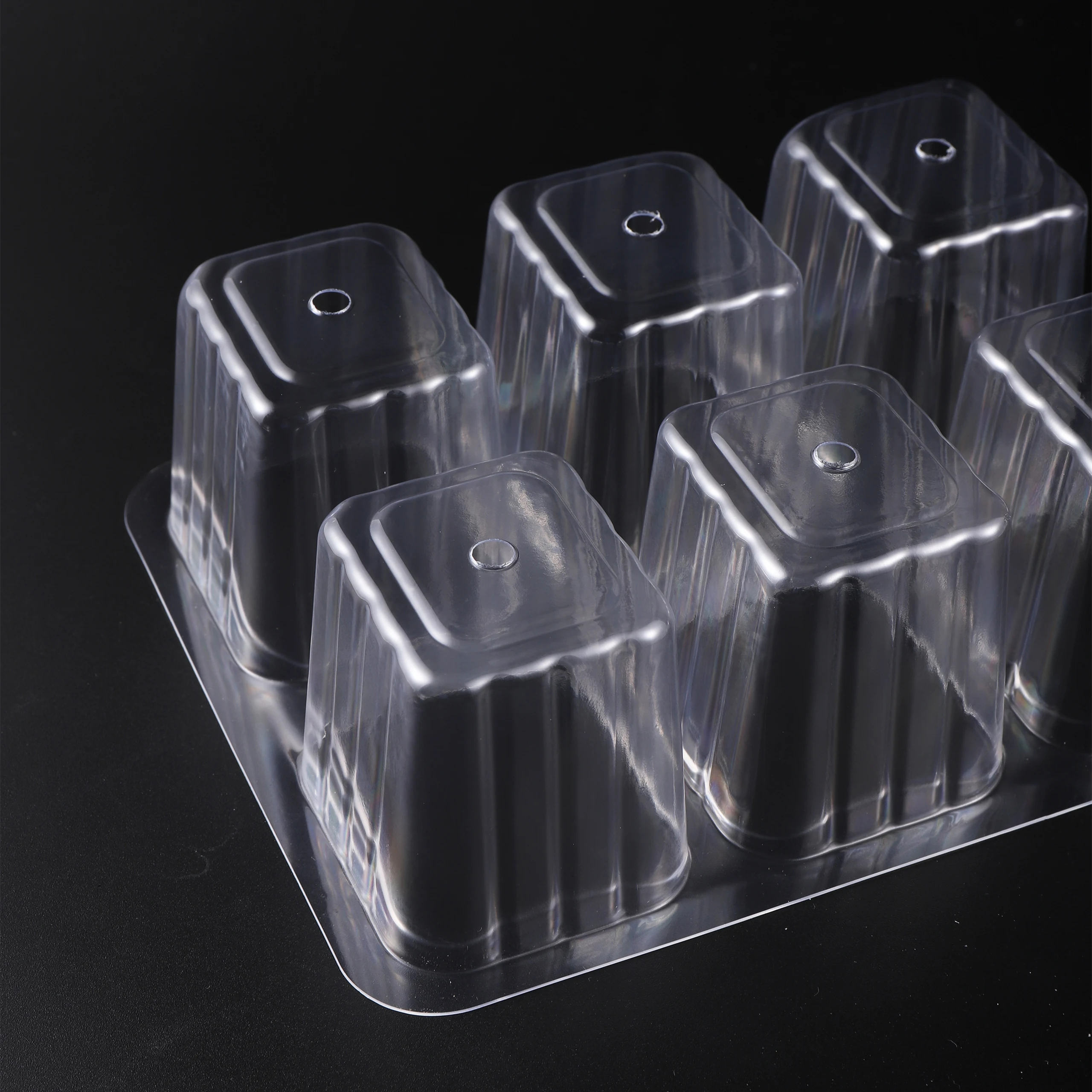 Juego de 5 unidades de bandeja - Seed Starter Tray reseña y precio