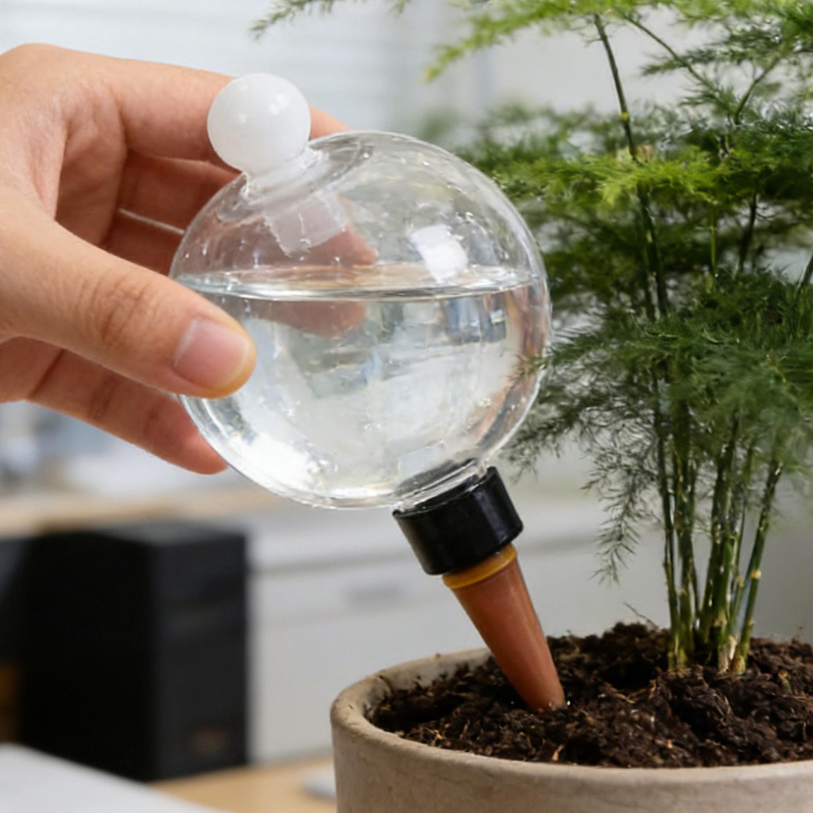 Bombillas de Riego para Planta - Self Watering Planter reseña y precio
