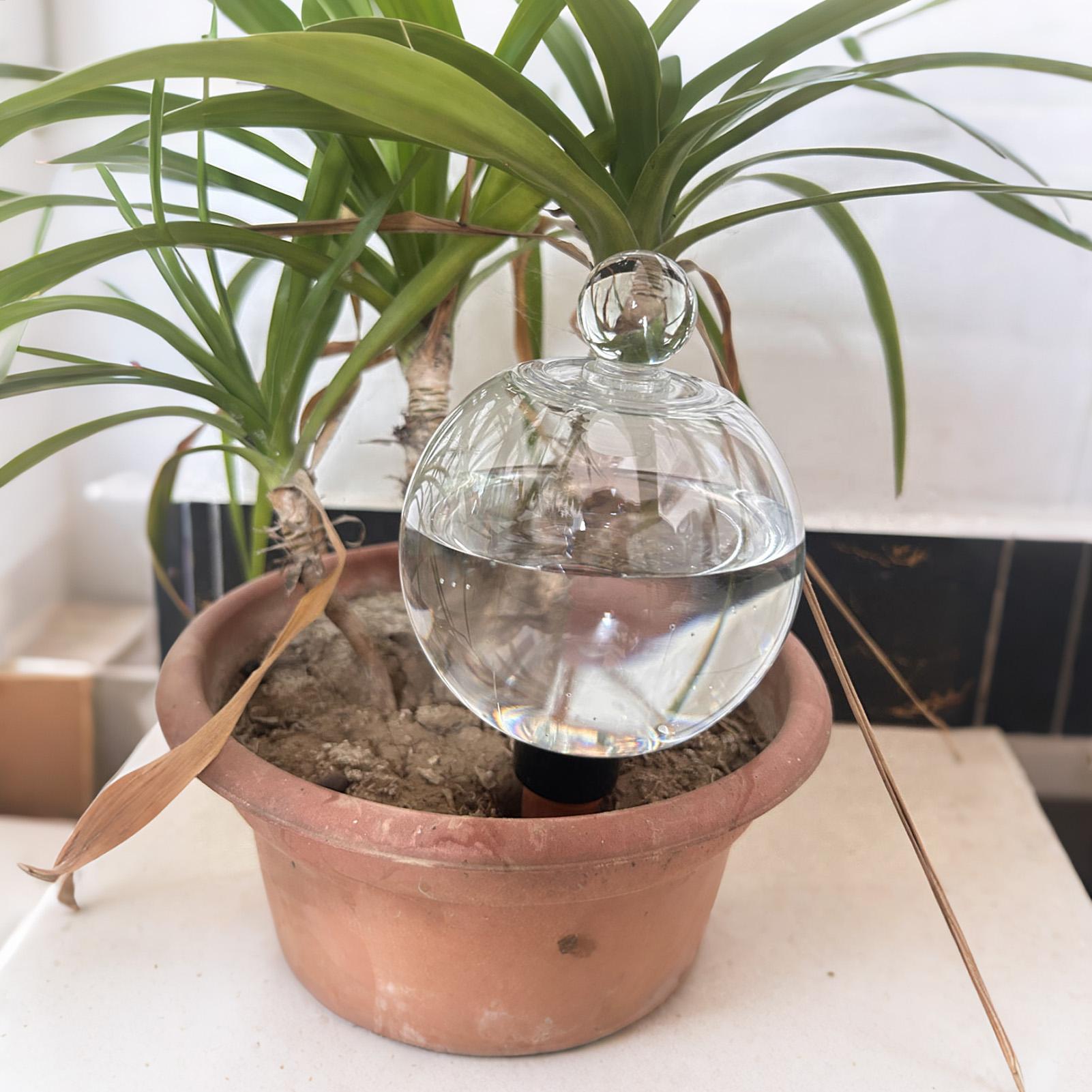 Bombillas de Riego para Planta - Self Watering Planter reseña y precio