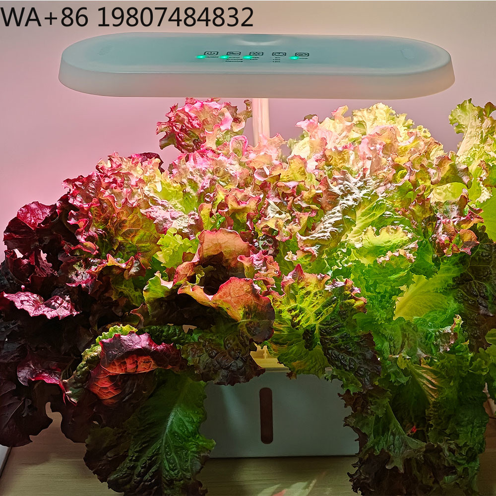 Kit de Cultivo Hidropónico con - Hydroponic Kit reseña y precio