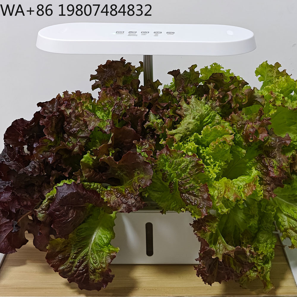 Kit de Cultivo Hidropónico con - Hydroponic Kit reseña y precio