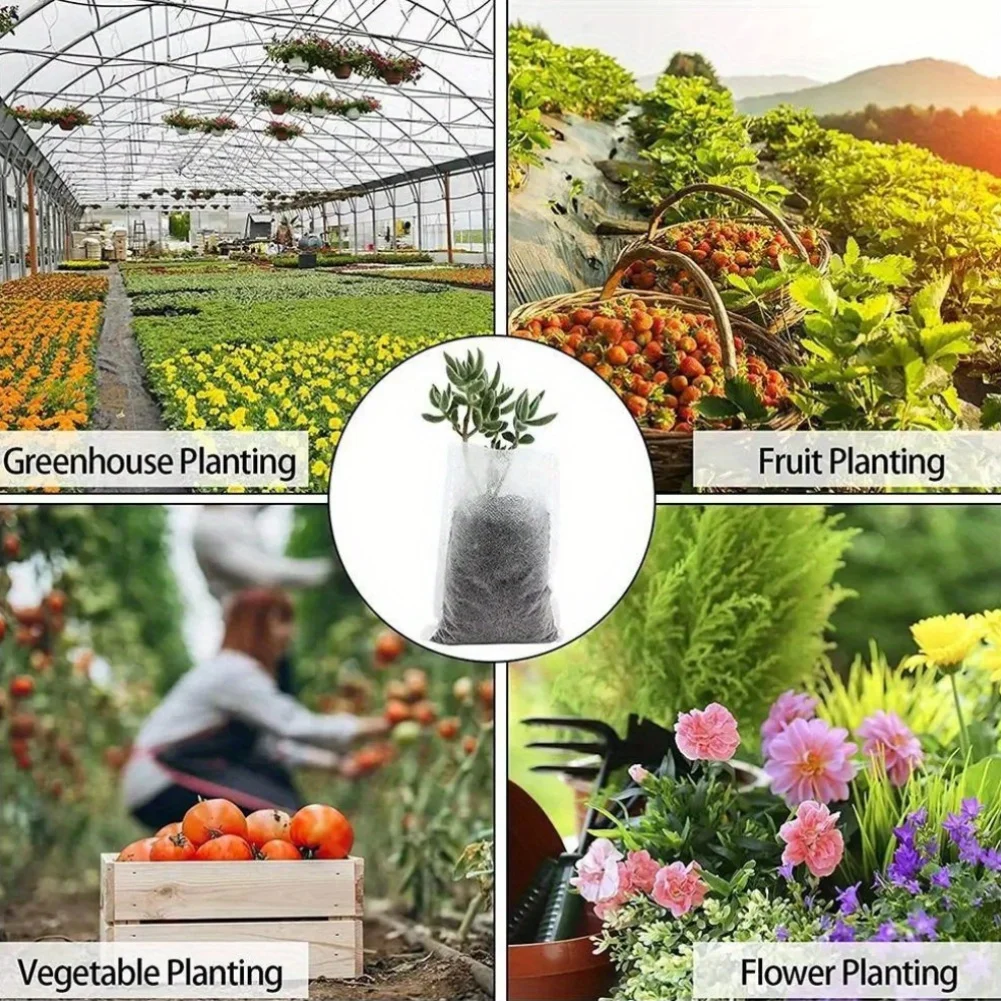 100 Uds. Bolsas biodegradables - Seed Starter Tray reseña y precio