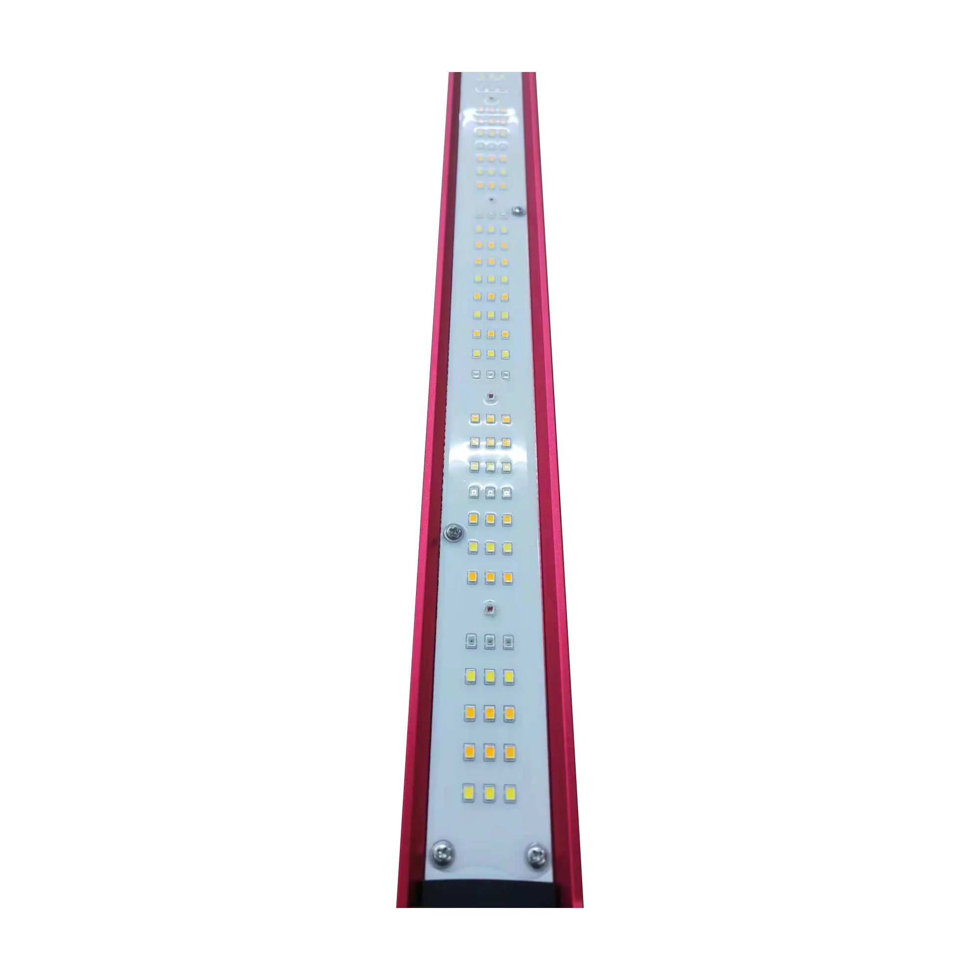 Luz LED de espectro completo p - Grow Light Led reseña y precio