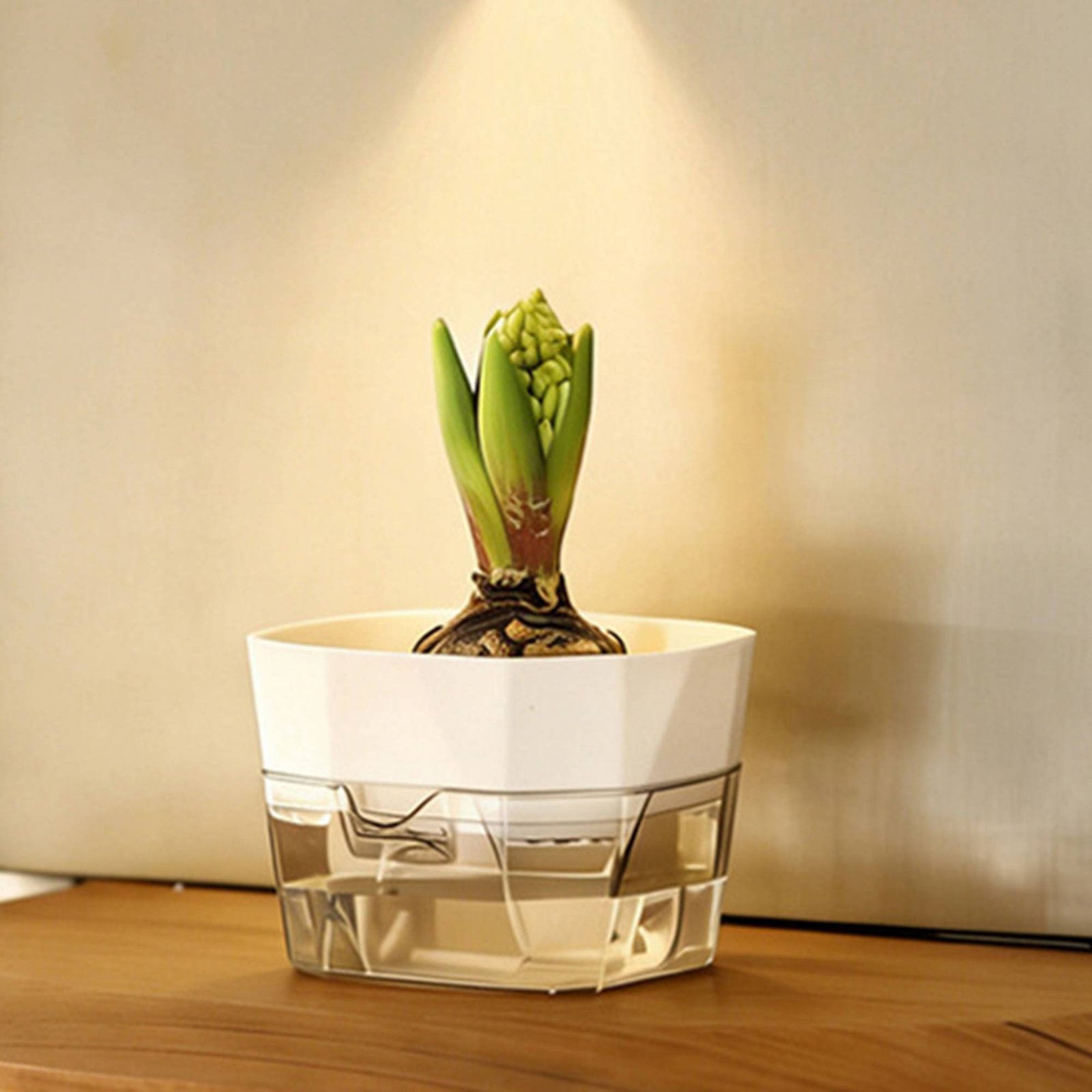 Maceta Hidropónica de 2 Nivele - Plant Pot reseña y precio