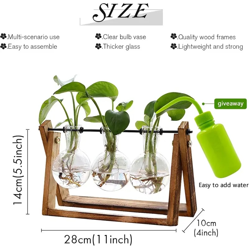 Kit de Terrario Hidropónico co - Hydroponic Kit reseña y precio