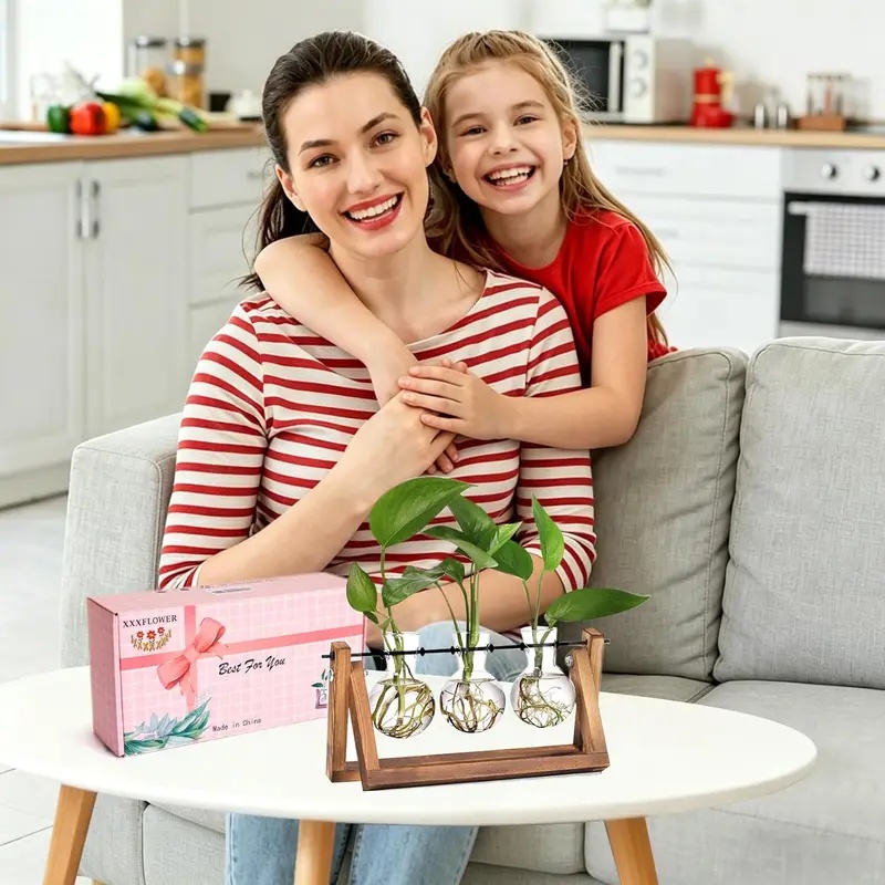Kit de Terrario Hidropónico co - Hydroponic Kit reseña y precio