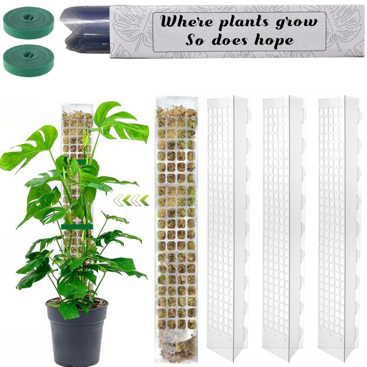 Poste de musgo, soporte de plá - Indoor Herb Garden reseña y precio