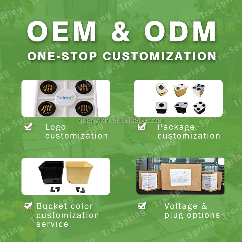 Kit de sistema hidropónico Dut - Hydroponic Kit reseña y precio