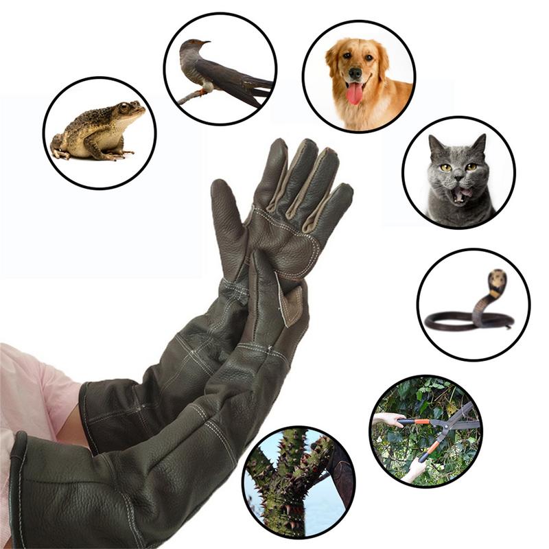 Guantes para mascotas de cuero - Garden Gloves reseña y precio