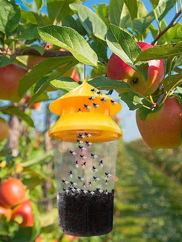 Trampas para moscas reutilizab - Grow Bag reseña y precio