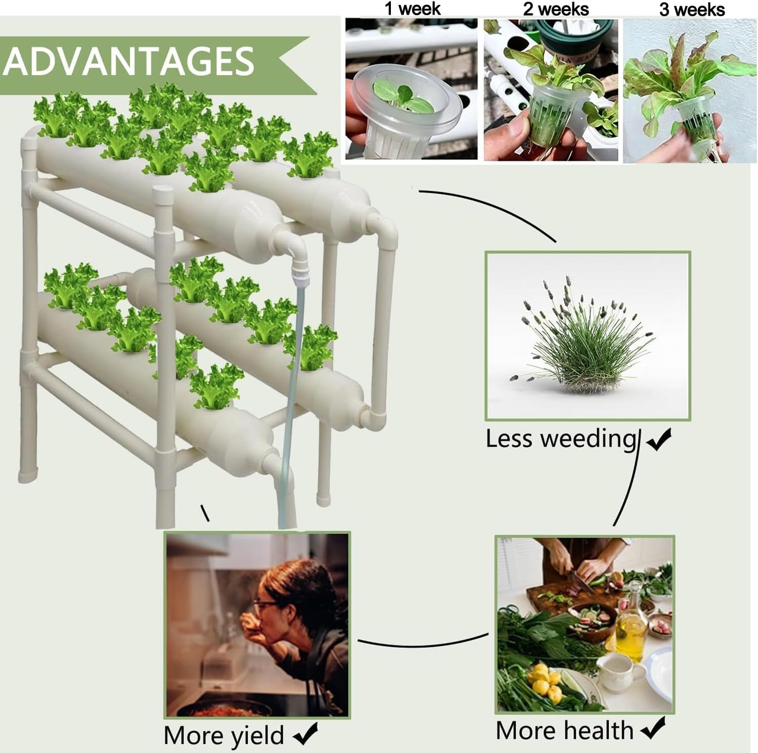 Sistema de Cultivo Hidropónico - Hydroponic Kit reseña y precio