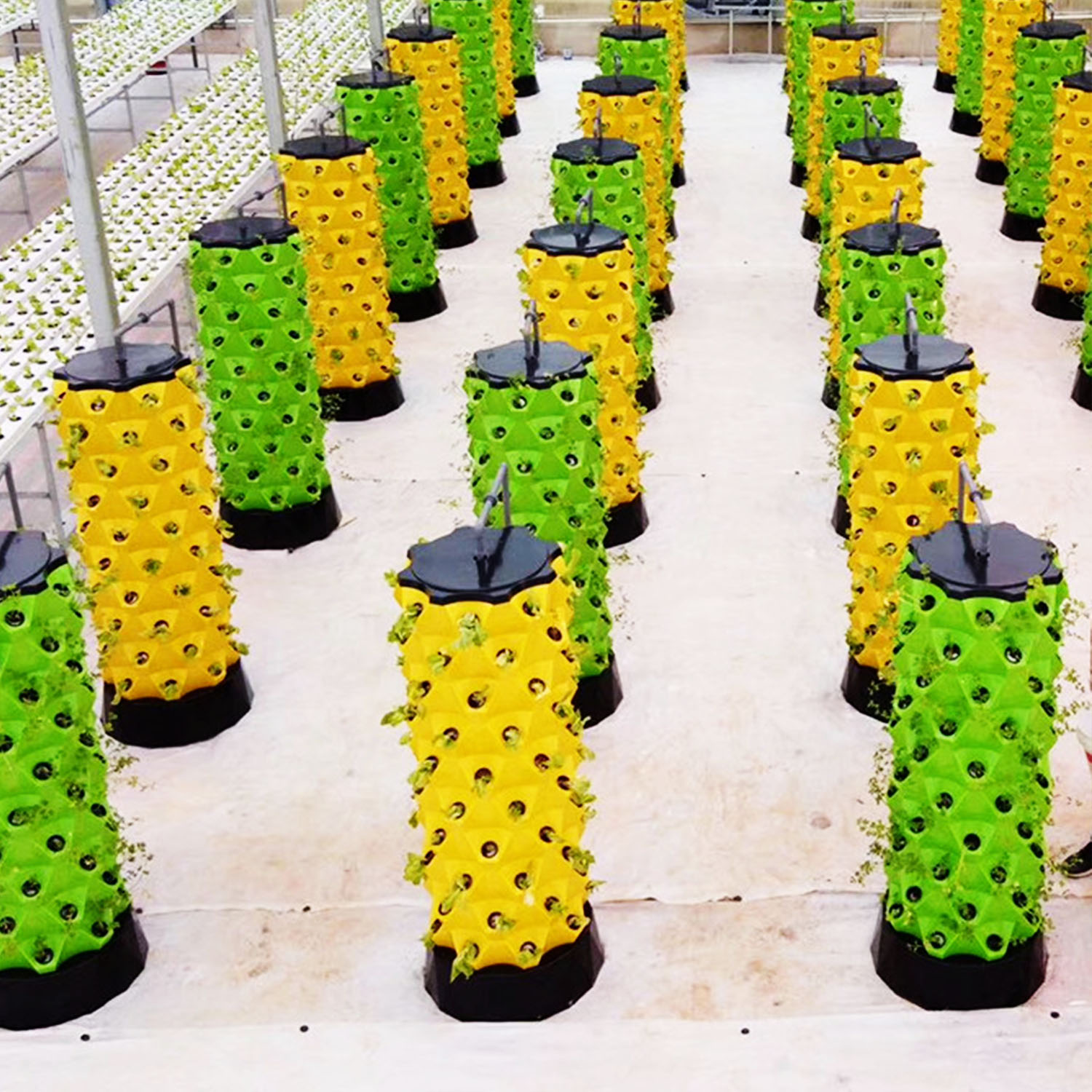 NUEVO Jardín Vertical Hidropón - Hydroponic Kit reseña y precio