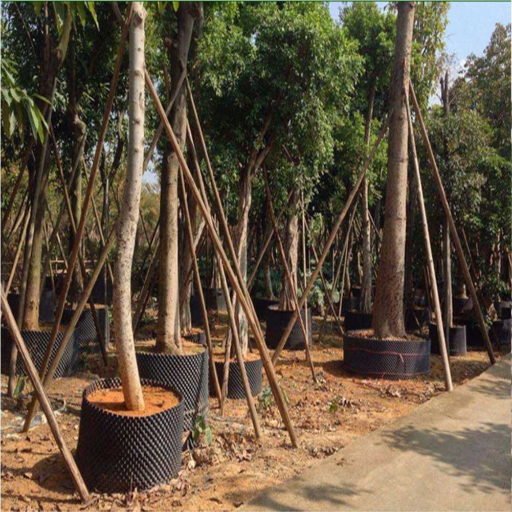 Maceta de cultivo para árboles - Plant Pot reseña y precio