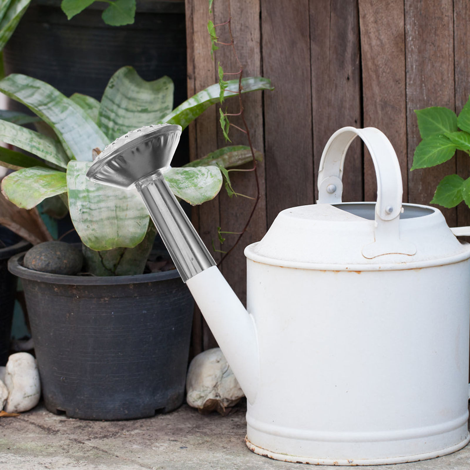 Cabezal de pulverizador de ace - Watering Can reseña y precio