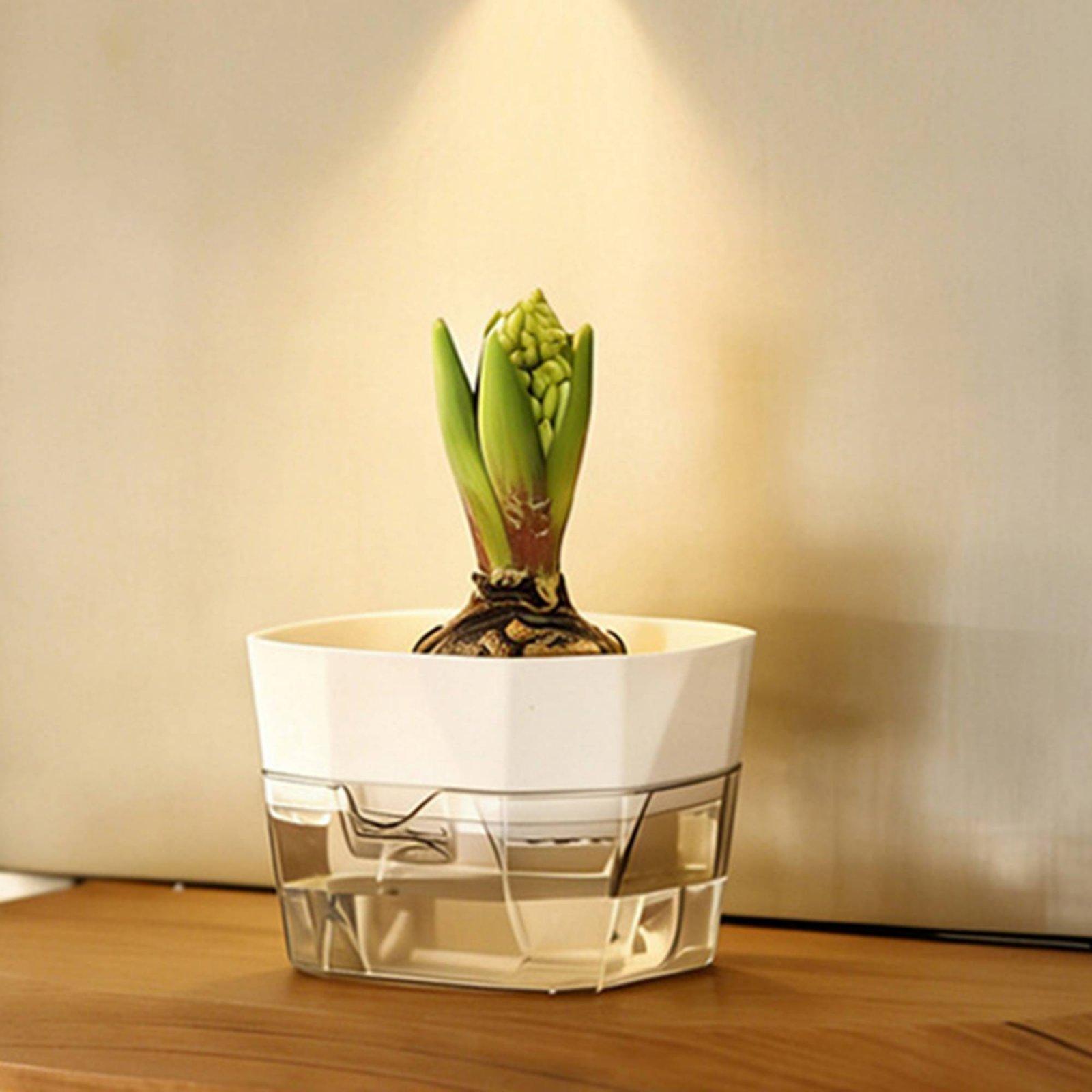 Jarrón Hidropónico de Dos Capa - Plant Pot reseña y precio