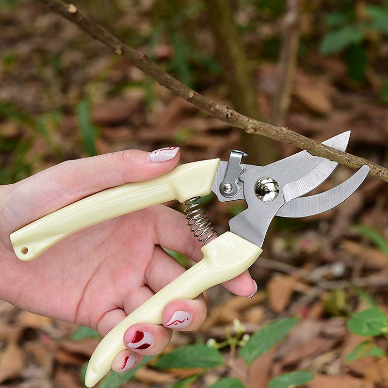 Tijeras de podar de jardín que - Pruning Shears reseña y precio