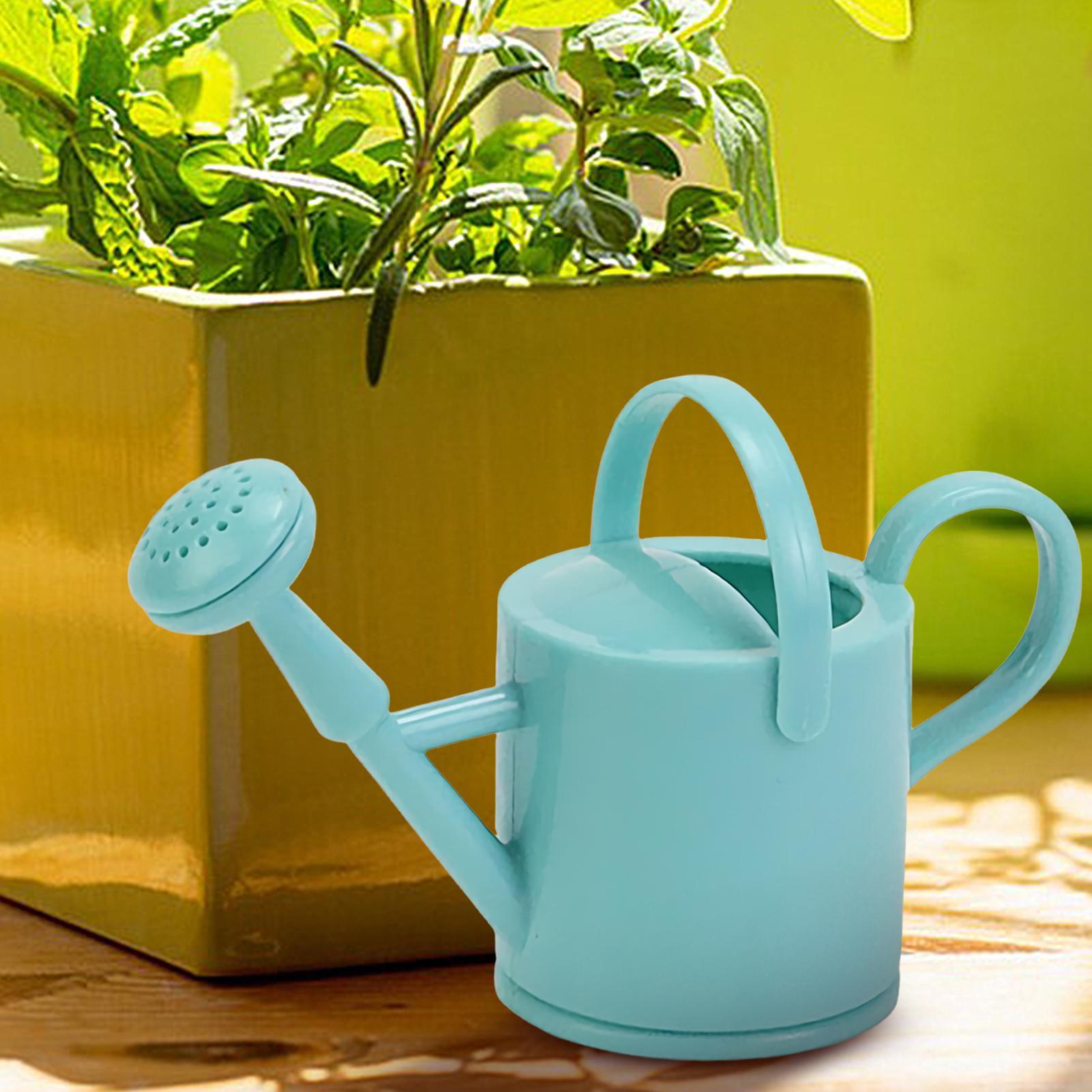 Mini Regadera Infantil con Boq - Watering Can reseña y precio