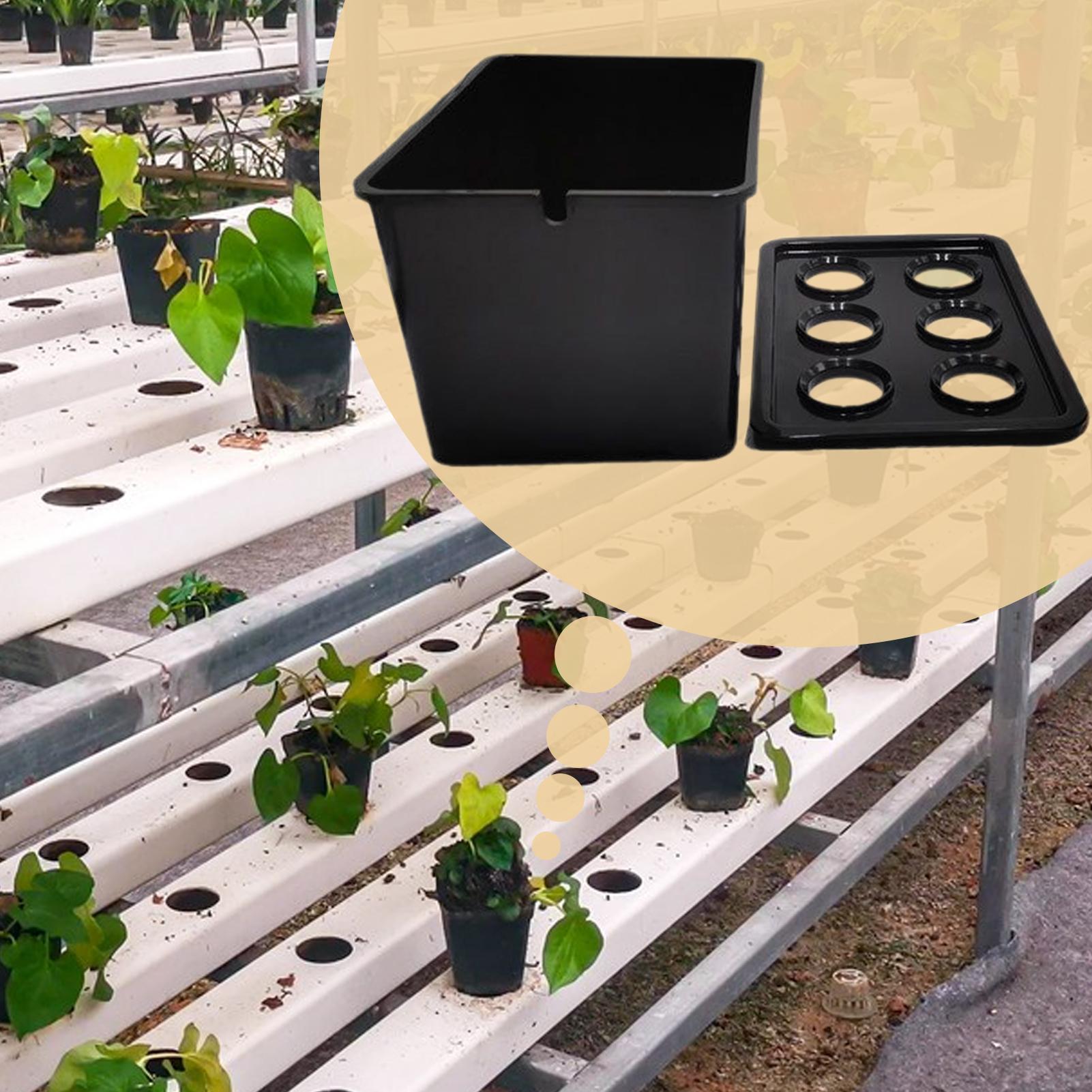 Kit de plantación hidropónica, - Hydroponic Kit reseña y precio