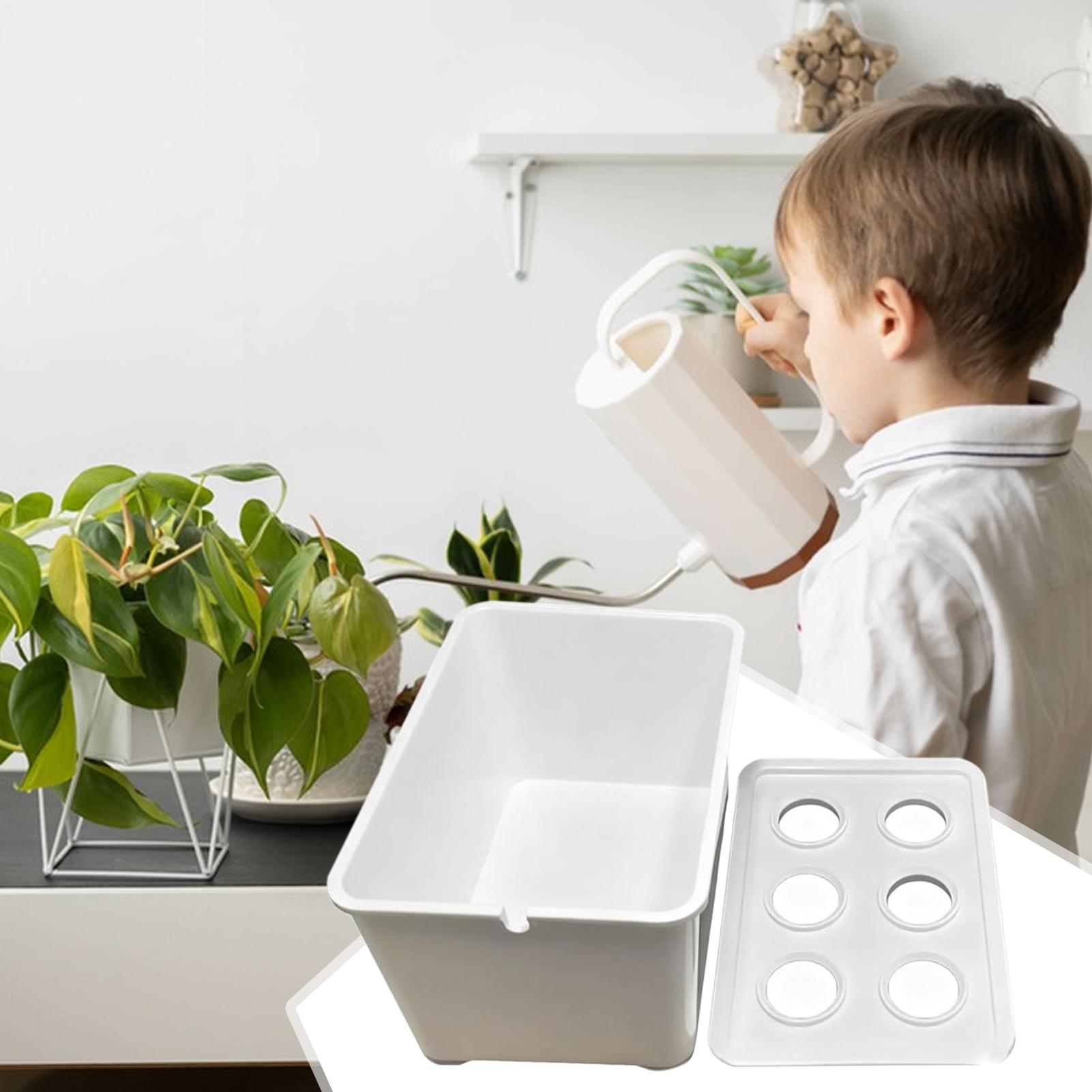 Kit de plantación hidropónica, - Hydroponic Kit reseña y precio