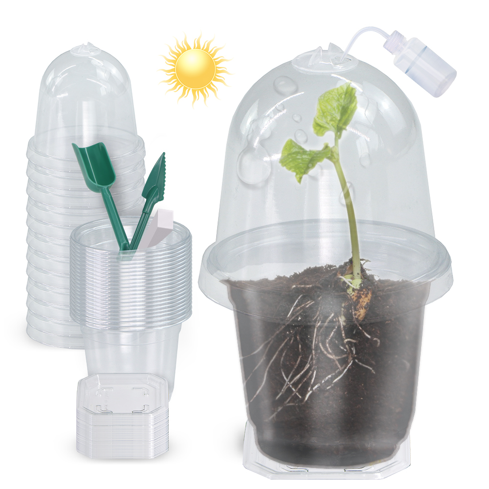 160x90CM Plantas transparentes - Seed Starter Tray reseña y precio