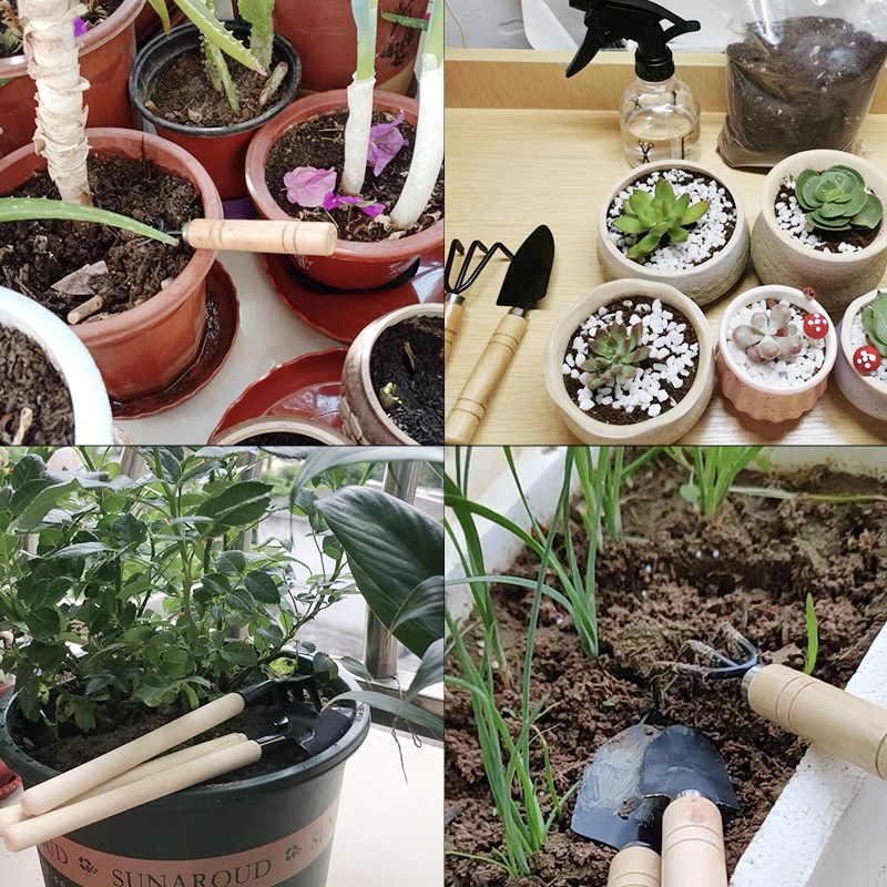 Juego de Mini herramientas de  - Indoor Herb Garden reseña y precio