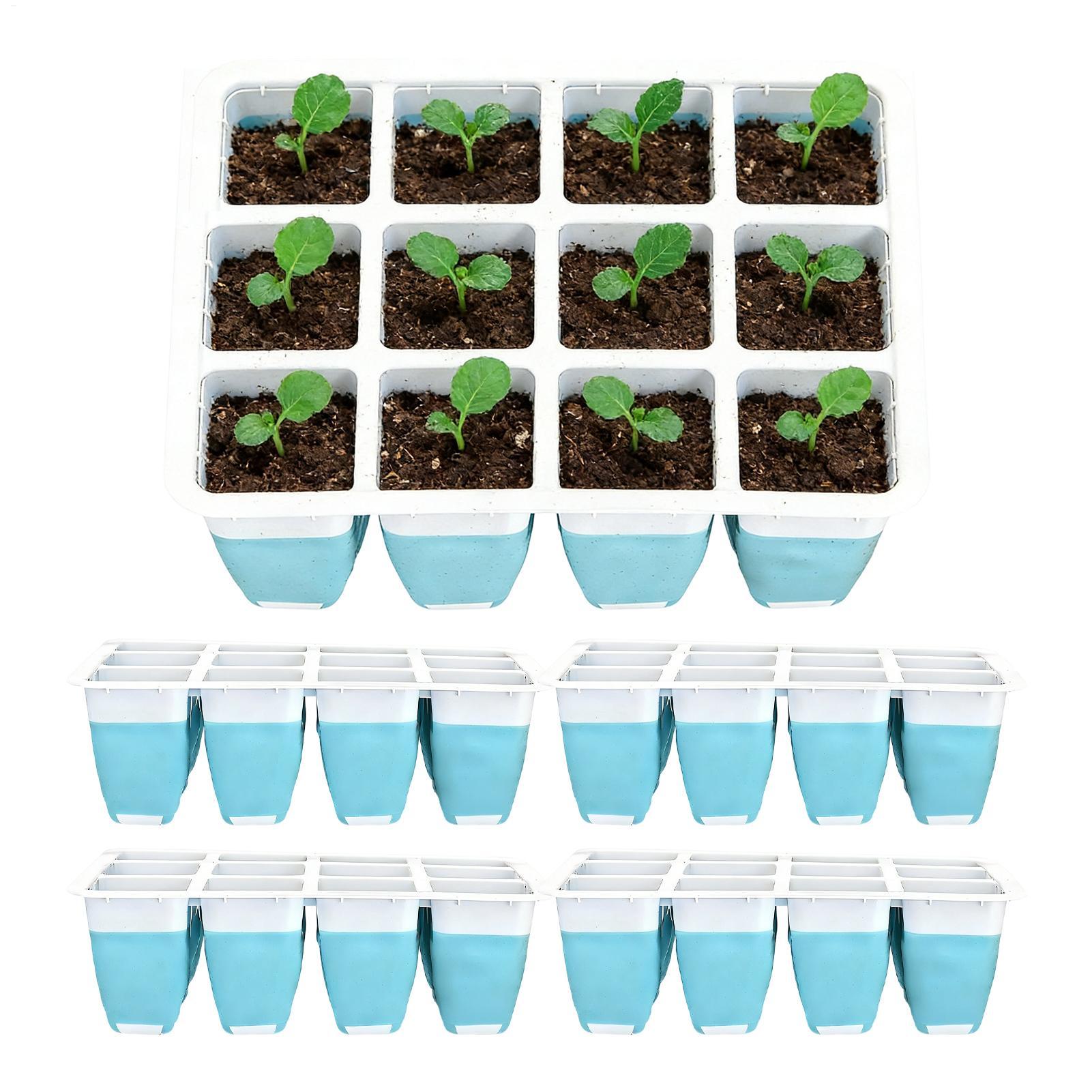 Paquete de 5 Bandejas de Silic - Seed Starter Tray reseña y precio