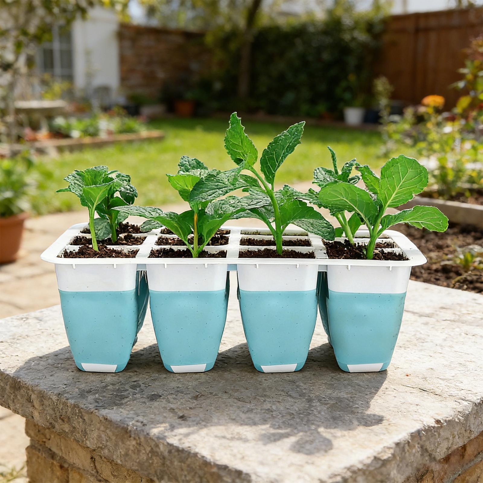 Paquete de 5 Bandejas de Silic - Seed Starter Tray reseña y precio