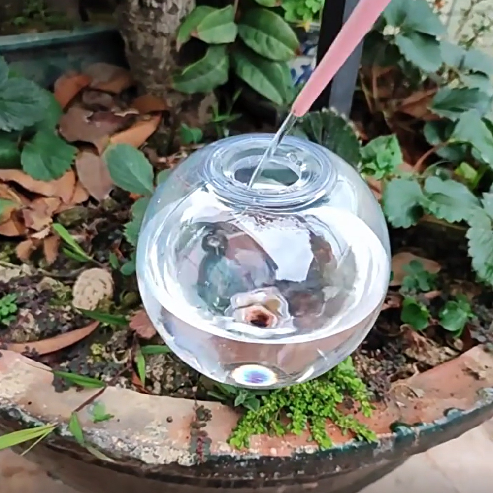 Globos de Riego Automático de  - Self Watering Planter reseña y precio