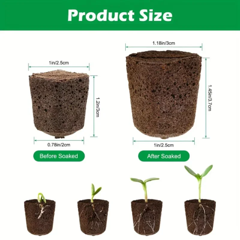 Kit de Esponjas para Germinaci - Hydroponic Kit reseña y precio