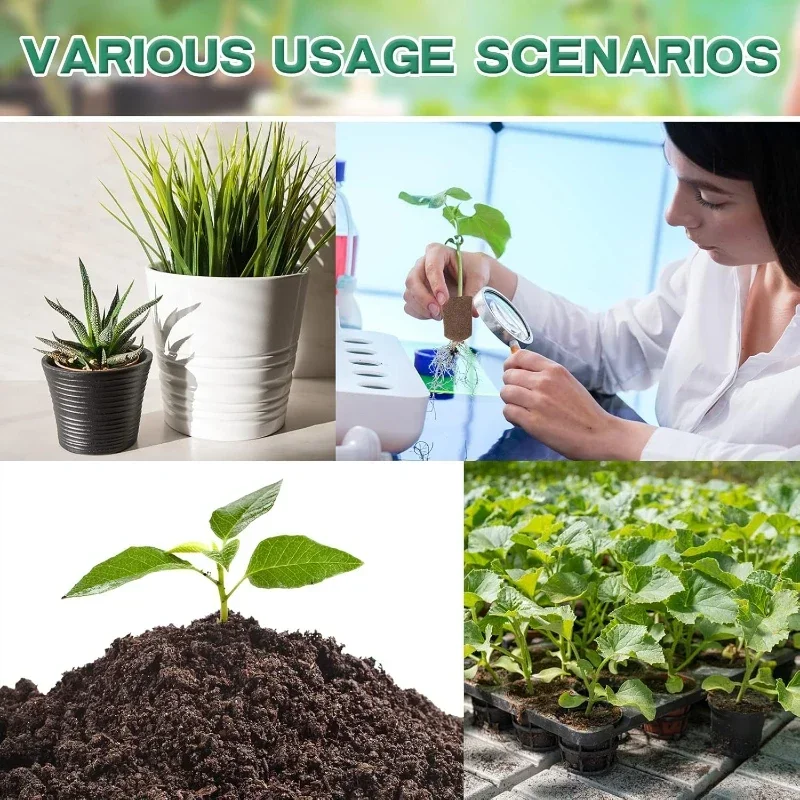 Kit de Esponjas para Germinaci - Hydroponic Kit reseña y precio