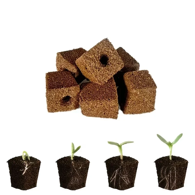 Kit de Esponjas para Germinaci - Hydroponic Kit reseña y precio
