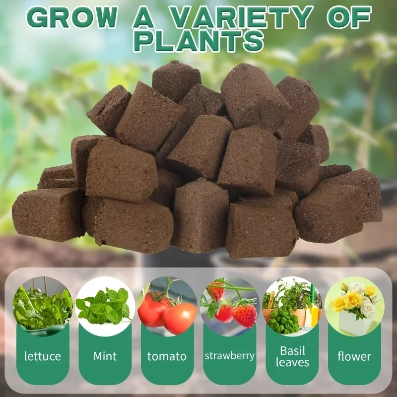 Kit de Esponjas para Germinaci - Hydroponic Kit reseña y precio