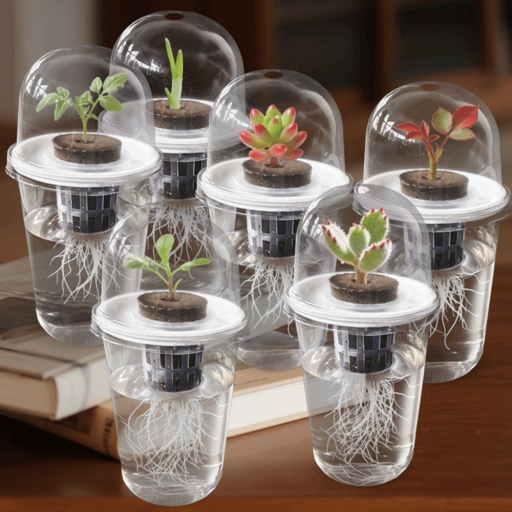 1-5 Vasos Transparentes para G - Seed Starter Tray reseña y precio