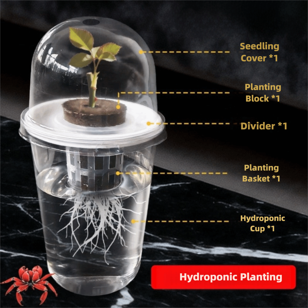 1-5 Vasos Transparentes para G - Seed Starter Tray reseña y precio