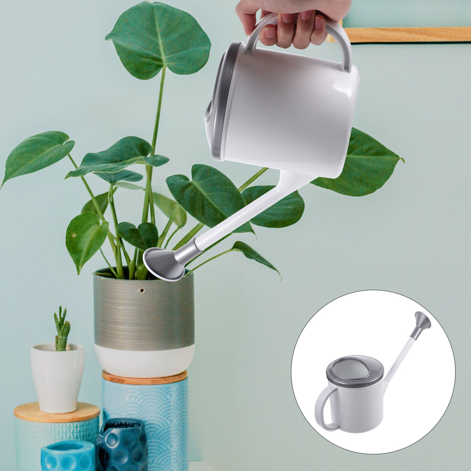 Regadera doméstica con boquill - Watering Can reseña y precio