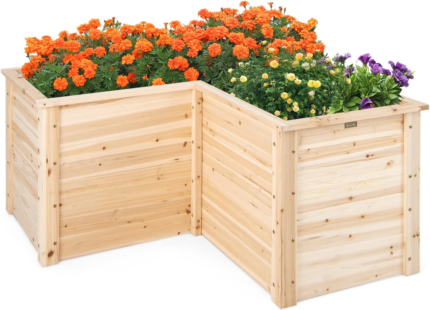 Jardinera Elevada de Madera Ma - Raised Garden Bed reseña y precio