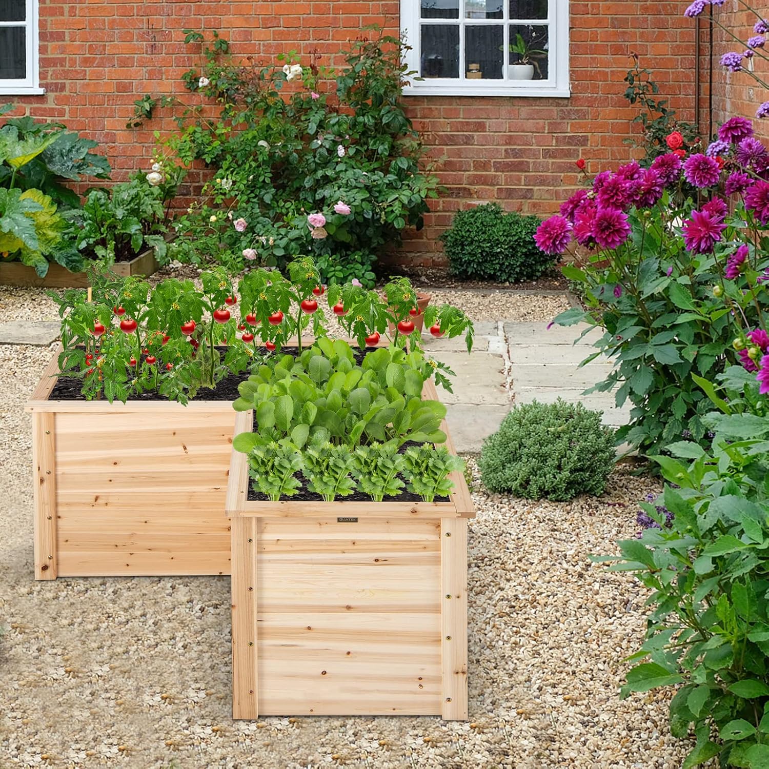 Jardinera Elevada de Madera Ma - Raised Garden Bed reseña y precio